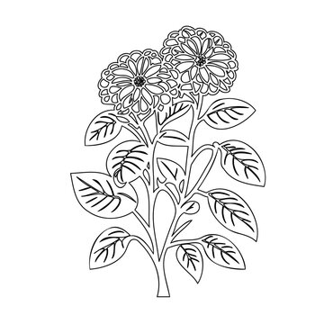 black and white flowers plant outline clip art preview