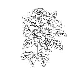 Floral drawing showcasing delicate line work of a bloom branch with foliage
