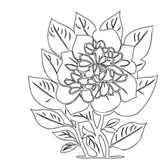 Elegant floral arrangement in minimalist outline style, suitable for coloring page