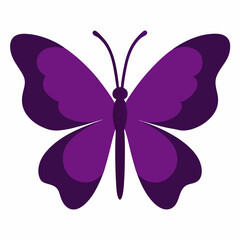 butterfly vector silhouette illustration isolated on white background