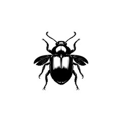 Beetle Silhouette Vector