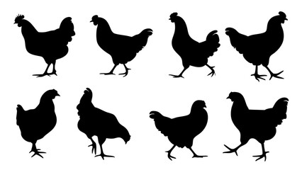 set of chicken silhouette vector on white background