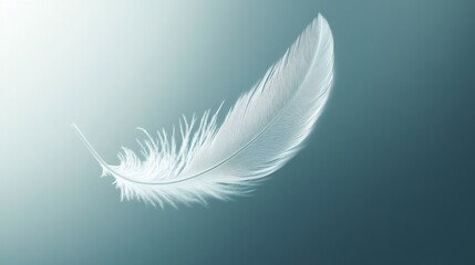 Obraz premium White Feather Floating on Gray Blue Background