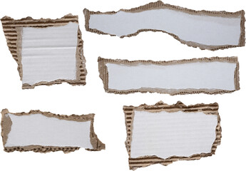 Fototapeta premium piece of white paper tear isolated on white background