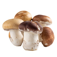 Fototapeta premium Fresh mushrooms arranged artistically, showcasing unique textures and colors. Ideal for culinary, health, or nature-themed projects. PNG illustration with transparent background.