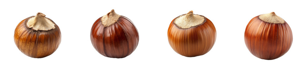 Different varieties of onions displayed on a transparent background