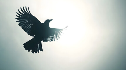 Obraz premium A vector bird illustration shows a silhouette of a flying eagle, a symbol of freedom and nature, distinct from a dove representing peace