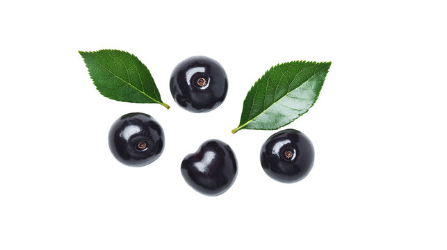 Açaí 画像転載禁止 ♡ Acai Vector Art, Icons, and Graphics for Free Download