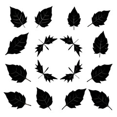 A collection of black leaf silhouettes of various shapes, including oval, heart-shaped, and jagged edges, all against a white background