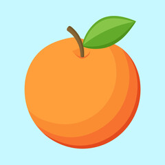 Vibrant and Fresh Orange Fruit Illustration on a Light Blue Background