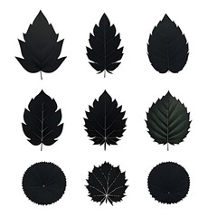 A collection of black leaf silhouettes of various shapes, including oval, heart-shaped, and jagged edges, all against a white background