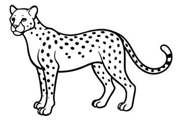 Minimalist Cheetah Sketch