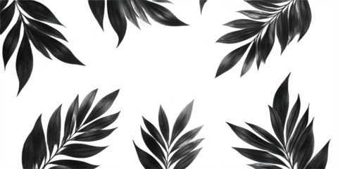 Tropical palm leaf shadows png palm leaf silhouette png tropical foliage shadow png botanical pattern png nature decor png tropical decor png jungle theme png transparent background image