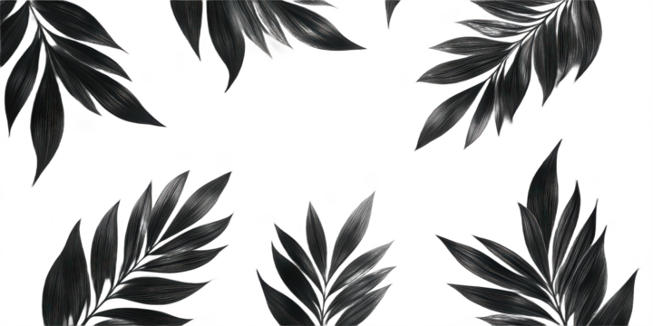 Tropical palm leaf shadows png palm leaf silhouette png tropical foliage shadow png botanical pattern png nature decor png tropical decor png jungle theme png transparent background image