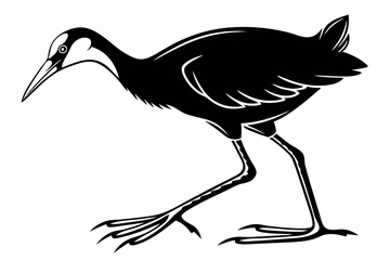 Fototapeta premium jacana sihouette black vector