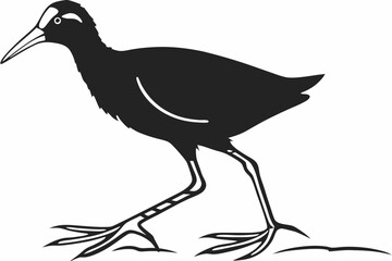 jacana sihouette black vector