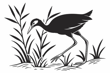 jacana sihouette black vector