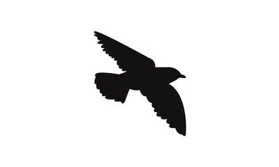 Flying African river martin bird Silhouette Design  And Vector Illustration. 