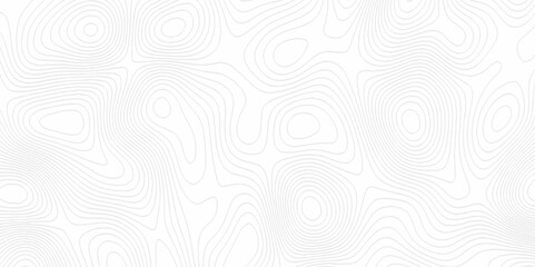 White topography topology vector white background fresh contour map texture. white seamless pattern Abstract background with a wave Topography and geography map grid abstract backdrop.