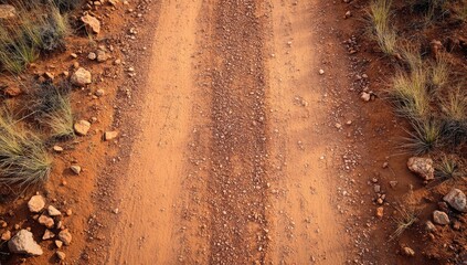 Dusty desert trail.  Dry, orange dirt path with distinct tire tracks, surrounded by sparse desert scrub