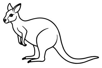 Minimalist Kangaroo Line Art
