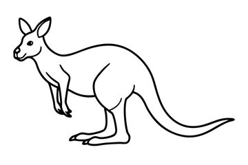 Minimalist Kangaroo Line Art