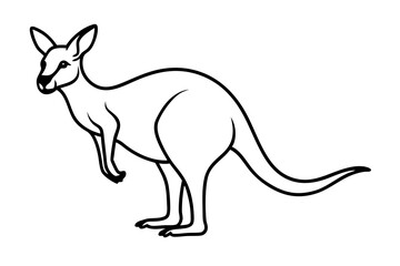 Minimalist Kangaroo Line Art