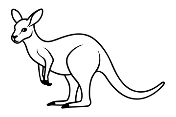 Minimalist Kangaroo Line Art