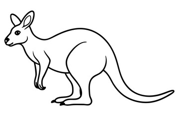 Minimalist Kangaroo Line Art