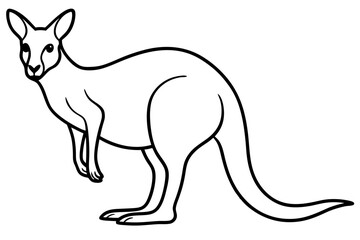 Minimalist Kangaroo Line Art