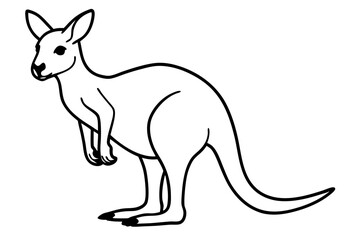 Minimalist Kangaroo Line Art