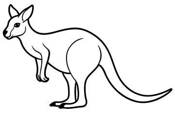 Minimalist Kangaroo Line Art