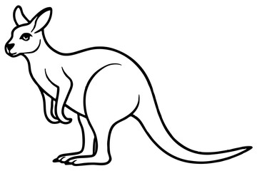 Minimalist Kangaroo Line Art