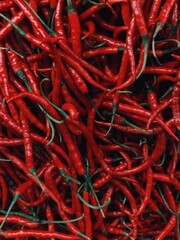 Vibrant Red Chili Peppers &ndash; Fresh Organic Hot Chilies Full Frame Background