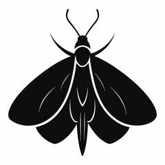 Black Moth Icon – Clean Vector Design