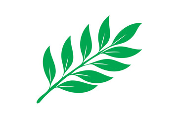 leaf of olive tree vector silhouette with whit background.
