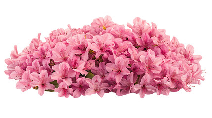 Pink Flower Bouquet on Transparent Background, PNG