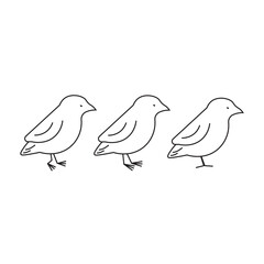 Elegant Bird Logo Vector Template icon vector line logo design illustration outline flat on white background simple icons