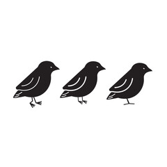Elegant Bird Logo Vector Template icon vector line logo design illustration outline flat on white background simple icons
