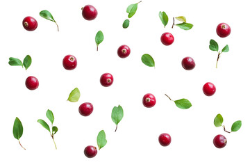 Red Berries and Green Leaves on Transparent Background, PNG