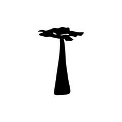 Baobab trees silhouette