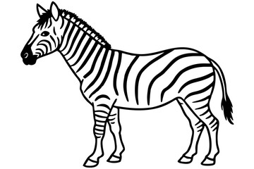Minimalist Zebra Vector