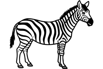 Minimalist Zebra Vector