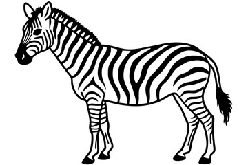 Minimalist Zebra Vector