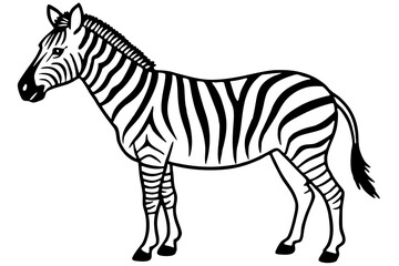 Minimalist Zebra Vector
