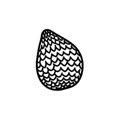 Exotic Fruit: Salak fruit silhouette, a hand-drawn illustration, featuring a distinct pattern and unique shape.