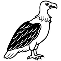 Condor in a Single Line Vector Art