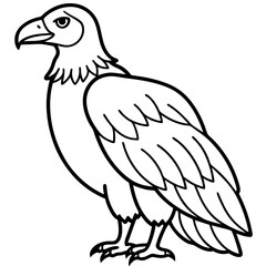 Condor in a Single Line Vector Art