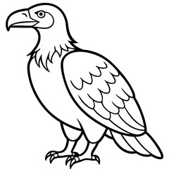 Condor in a Single Line Vector Art