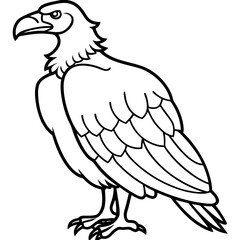 Condor in a Single Line Vector Art